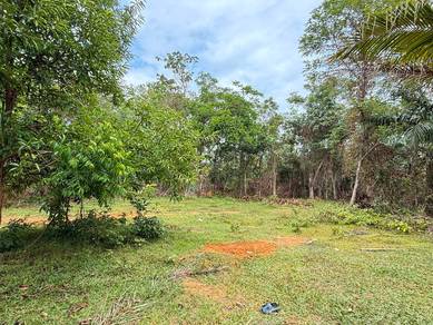 Tanah Kebun Getah Di Mukim Kupang, Baling, Kedah