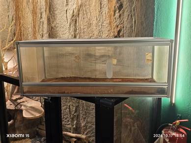 Reptile cage