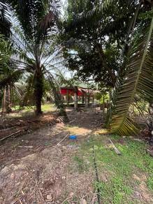 TANAH & KANDANG TERNAKAN UNTUK DISEWA Lembah KLAU RAUB PAHANG
