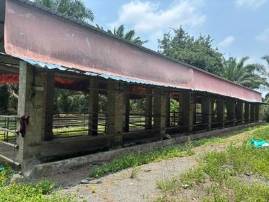 Agricultural-Land-for-rent-Raub-Pahang