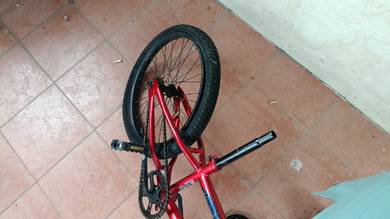 cycle body in good condition
