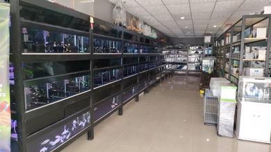 feature ad Complete Aquarium racks, Tanks & Equipments
