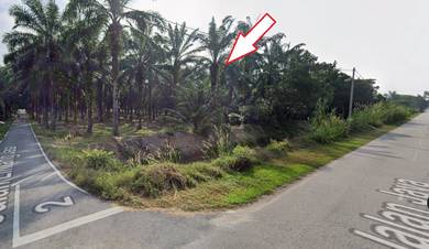 (Corner Lot) Kebun Sawit, Parit Mahang, Ijok Kuala Selangor