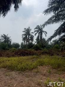 Agriculture Land Kuala Selangor Jeram near Main Road
