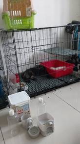 Rumah Kucing