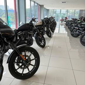 Harley Davidson Sportster Iron 883 Year / 2021 /20