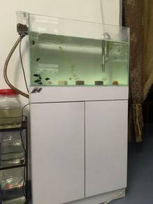 aquarium 1.9feet