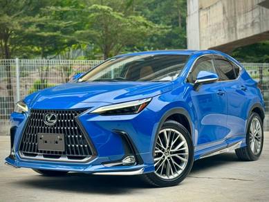 2023 Lexus NX250 2.5 VERSION L MARK LEVINSON DIM
