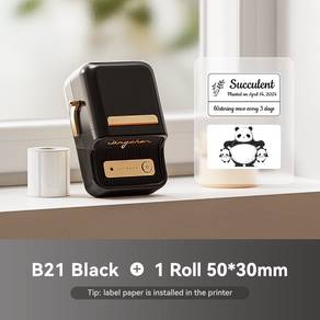 NIIMBOT B21 Protable Label Printer Maker