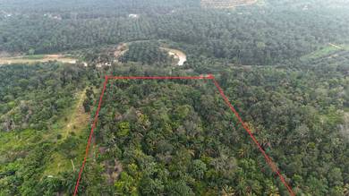 Agricultural Land Hulu Ijok Selama Perak 20 Acres