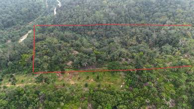 Agricultural Land Hulu Ijok Selama Perak 20 Acres