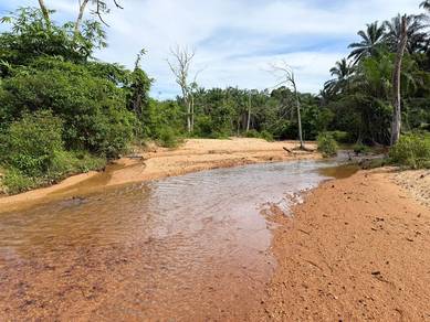 Tanah Sawit 6.5 ekar Bersungai