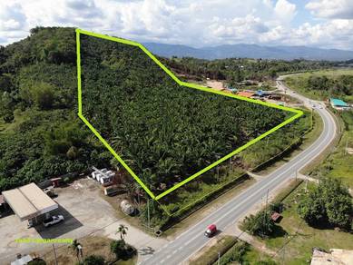Keningau nabawan Tawau (Roadside) Palm Oil Land. CL15acs  (For Sale)