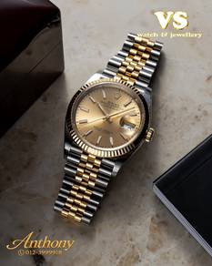 Rolex Datejust 126233/36mm👑 (BRAND NEW)