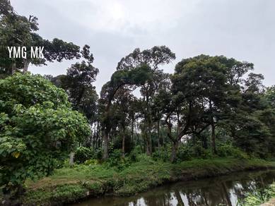 Agriculture Land Sungai Kandis, Kampung Jawa Klang for sale 🌱🌱