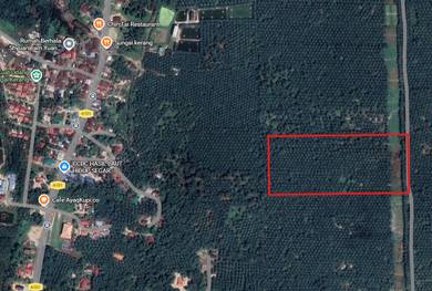 Freehold Oil Palm Land in Sungai Kerang🌴 | 3 Adjacent Plots Main Road