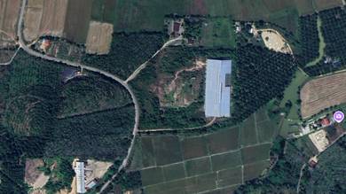 Agricultural-Land-for-sale-Pendang-Kedah