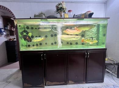 Akuarium 6kaki