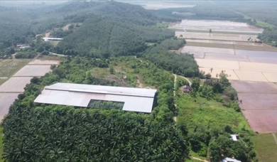 Tanah Murah Pendang