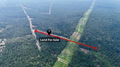 Agricultural-Land-for-sale-Muar-Johor