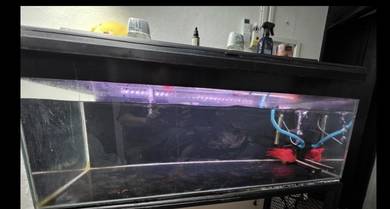 akuarium 4 kaki