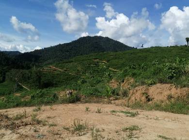Land-for-sale-Others-Sabah
