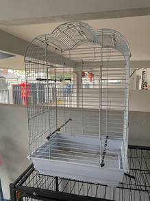 sangkar burung / sugar glider