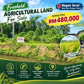 Freehold Agricultural Land For Sale @ Bagan Serai, Near Alor Pongsu