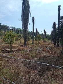 Agricultural-Land-for-sale-Sungai-Siput-Perak