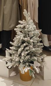 pokok xmass