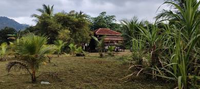 Tanah Pertanian Depan Sungai, Jalan Sungai Lui Batu 24 Hulu Langat