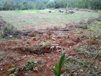 Agricultural-Land-for-sale-Jelebu-Negeri-Sembilan