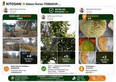 Tananam sering kena Penyakit atau Bantut