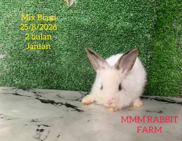 Mix Biasa