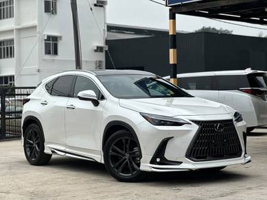 2023 Lexus NX250 2.5 VERSION L (A) MODELISTA KIT