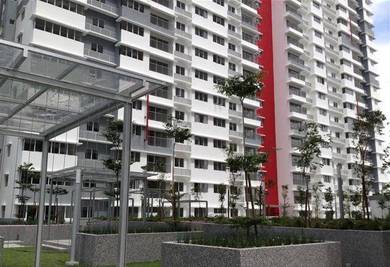 Koi Kinrara