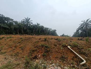Tanah pertanian desa pinggiran Putra