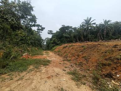 Tanah pertanian desa pinggiran Putra