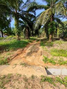 Tanah Pertanian 2 Ekar Bukit Inas Batu Pahat For SALE
