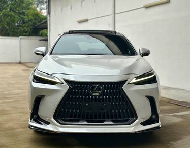 Lexus NX250 2.5 LUXURY MY22 (A)