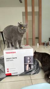 Air fryer toshiba 5L