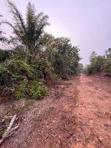 Tanah Depan Mrsm alor gajah
