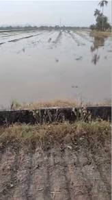 Mixed-Development-Land-for-sale-Others-Perlis