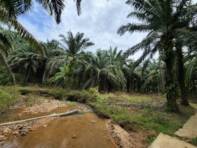 Industrial-Land-for-sale-Gurun-Kedah
