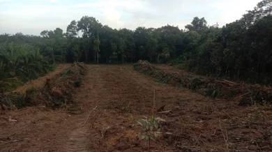 Industrial-Land-for-sale-Hulu-Terengganu-Terengganu