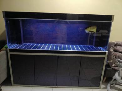fish tank cristal  SEBO 6kaki ×2kaki