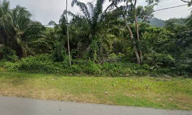 FREEHOLD Agricultre Land 3.1 Acres (Main Road) Bentong Pahang For Sale