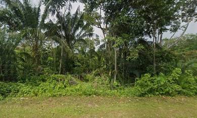 FREEHOLD Agricultre Land 3.1 Acres (Main Road) Bentong Pahang For Sale
