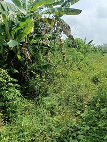Land-for-sale-Pendang-Kedah