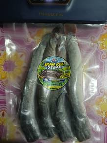 Ikan Keli Frozen